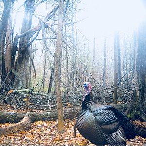 Meet your Posher, Jeff